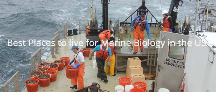 Marine-Biology-USA