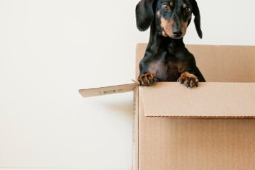 moving from nyc to portland oregon