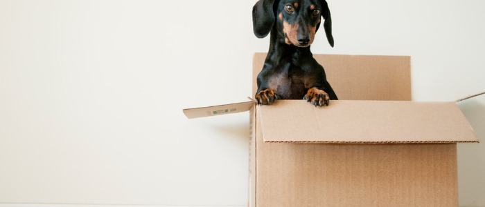 moving from nyc to portland oregon