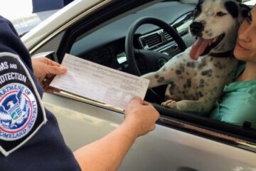 how-to-get-driver-license-in-nyc