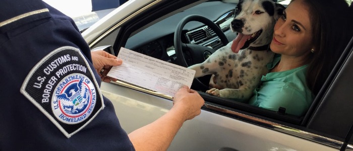 how-to-get-driver-license-in-nyc