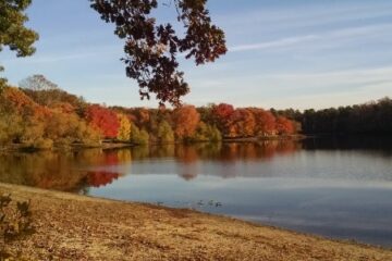 best places-to-live-in-nj-for-families