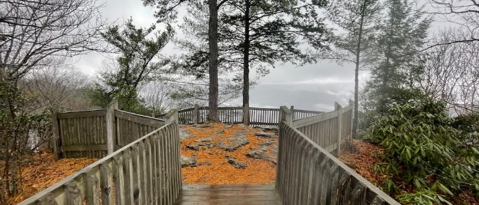 Explore-the-Best-Hikes-in-New-River-Gorge!