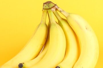 Can-you-Grow-Bananas-in-Pennsylvania