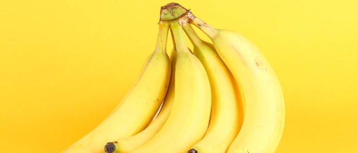 Can-you-Grow-Bananas-in-Pennsylvania